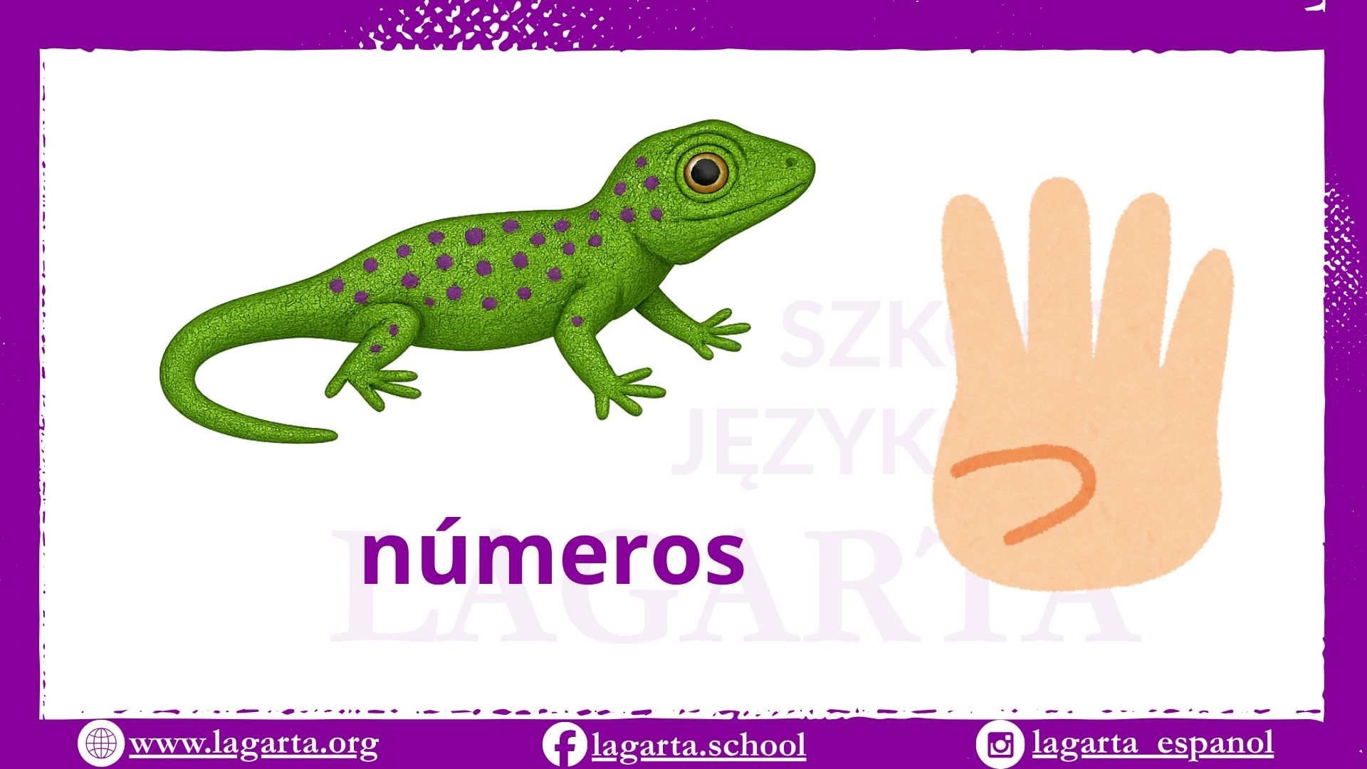 Liczby po hiszpańsku – números