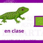 Zwroty przydatne na lekcji hiszpańskiego – en clase